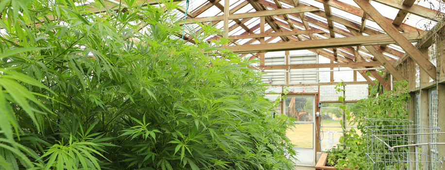 Security Solutions for Apartments in Canton, OH